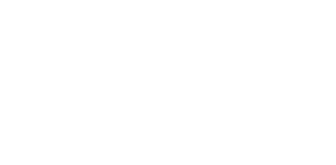 Ario Group